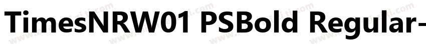 TimesNRW01 PSBold Regular字体转换